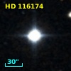 HD 116174