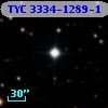 TYC 3334-1289-1