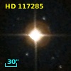 HD 117285