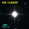 HD 116830