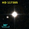 HD 117305