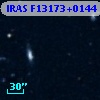 IRAS F13173+0144