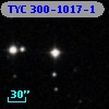 TYC  300-1017-1