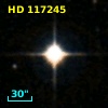 HD 117245