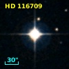 HD 116709