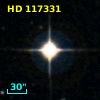 HD 117331