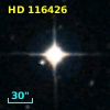 HD 116426