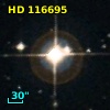 HD 116695