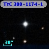 TYC  300-1174-1