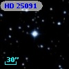 HD  25091