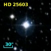 HD  25603