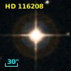 HD 116208
