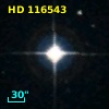 HD 116543