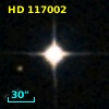 HD 117002