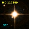 HD 117349