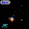 Ross  486