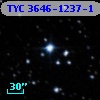 TYC 3646-1237-1