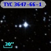 TYC 3647-66-1