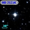HD  25236