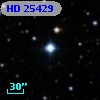 HD  25429