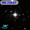 HD  25667