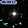 HD  25891