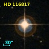 HD 116817