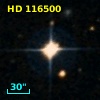 HD 116500