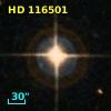HD 116501