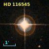 HD 116545