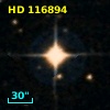 HD 116894