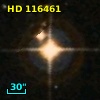 HD 116461