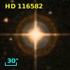 HD 116582