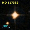 HD 117332
