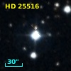 HD  25516