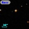 Ross  983