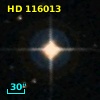 HD 116013