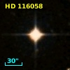 HD 116058