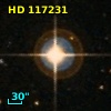 HD 117231