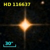HD 116637