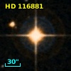 HD 116881