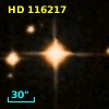 HD 116217
