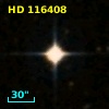 HD 116408