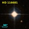 HD 116681