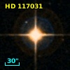 HD 117031