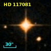 HD 117081