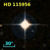 HD 115956