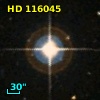 HD 116045