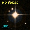 HD 116210