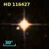 HD 116427